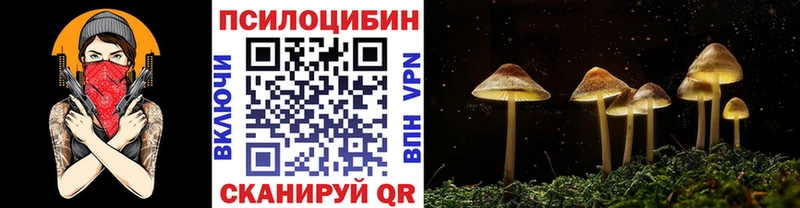 Псилоцибиновые грибы MAGIC MUSHROOMS  Купить  Ардатов 